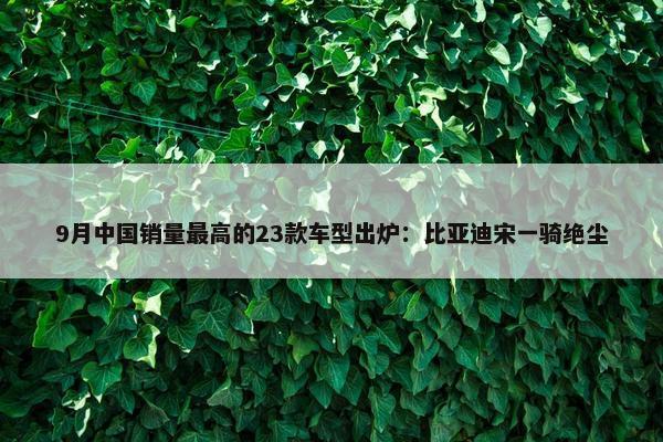 9月中国销量最高的23款车型出炉：比亚迪宋一骑绝尘