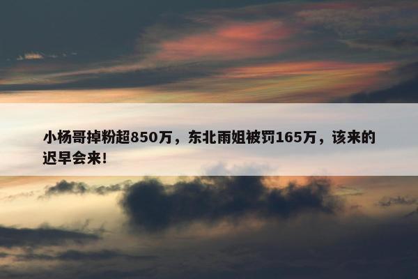 小杨哥掉粉超850万，东北雨姐被罚165万，该来的迟早会来！