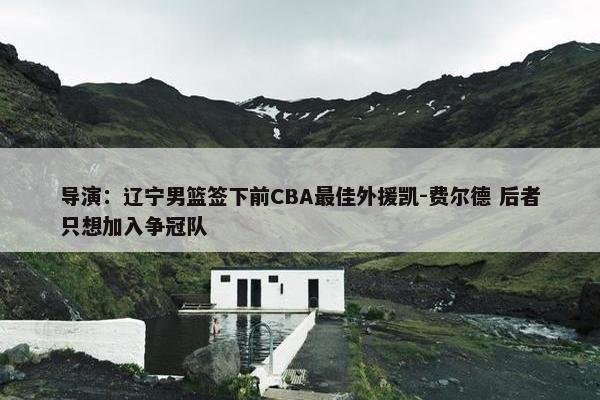 导演：辽宁男篮签下前CBA最佳外援凯-费尔德 后者只想加入争冠队