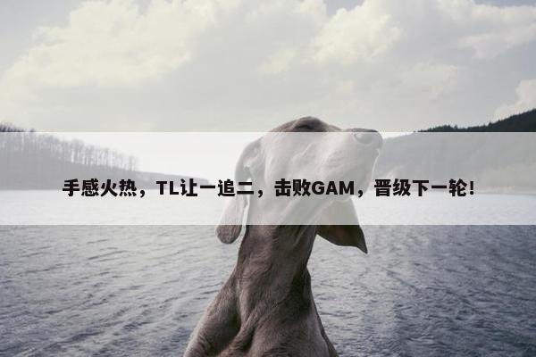 手感火热，TL让一追二，击败GAM，晋级下一轮！