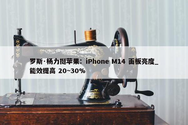 罗斯·杨力挺苹果：iPhone M14 面板亮度_能效提高 20~30%