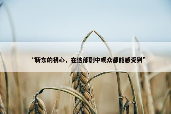 “靳东的初心，在这部剧中观众都能感受到”