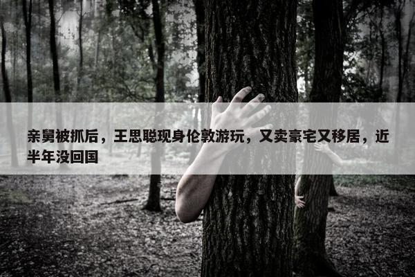 亲舅被抓后，王思聪现身伦敦游玩，又卖豪宅又移居，近半年没回国