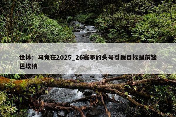 世体：马竞在2025_26赛季的头号引援目标是前锋巴埃纳