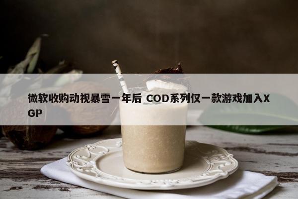 微软收购动视暴雪一年后 COD系列仅一款游戏加入XGP