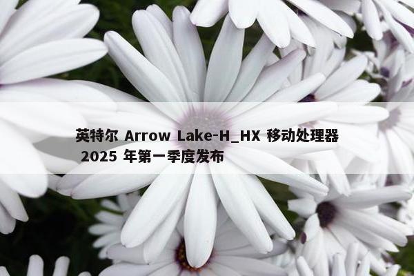 英特尔 Arrow Lake-H_HX 移动处理器 2025 年第一季度发布