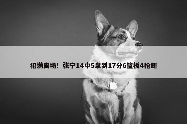 犯满离场！张宁14中5拿到17分6篮板4抢断