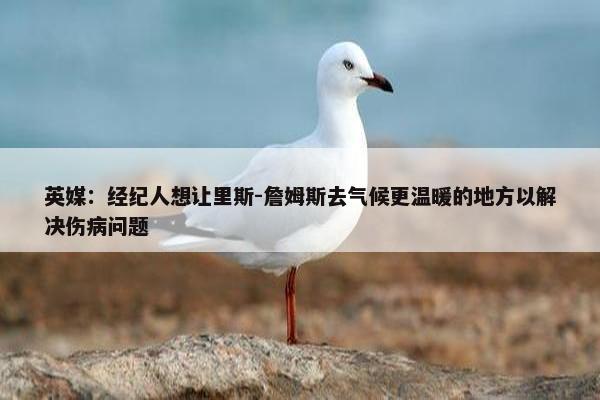 英媒：经纪人想让里斯-詹姆斯去气候更温暖的地方以解决伤病问题