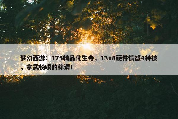 梦幻西游：175精品化生寺，13+8硬件愤怒4特技，拿武榜眼的称谓！