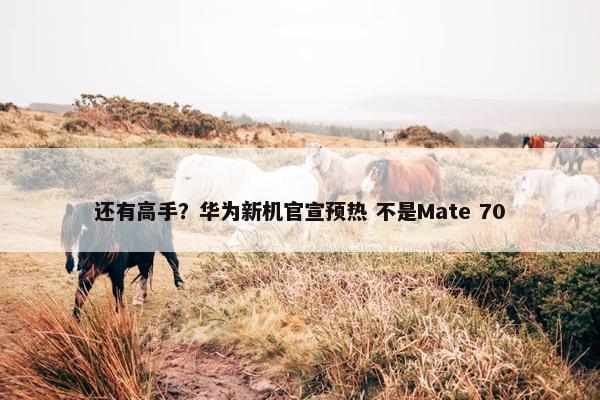 还有高手？华为新机官宣预热 不是Mate 70