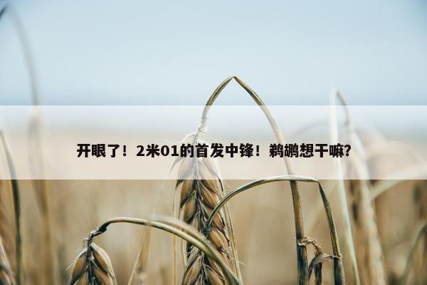 开眼了！2米01的首发中锋！鹈鹕想干嘛？