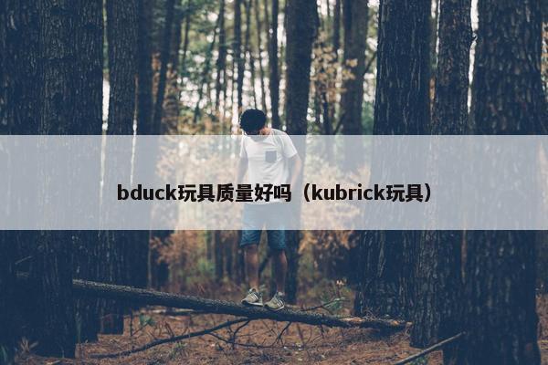 bduck玩具质量好吗（kubrick玩具）