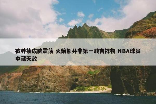 被胖揍成脑震荡 火箭熊并非第一贱吉祥物 NBA球员中藏天敌