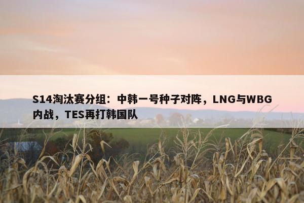 S14淘汰赛分组：中韩一号种子对阵，LNG与WBG内战，TES再打韩国队