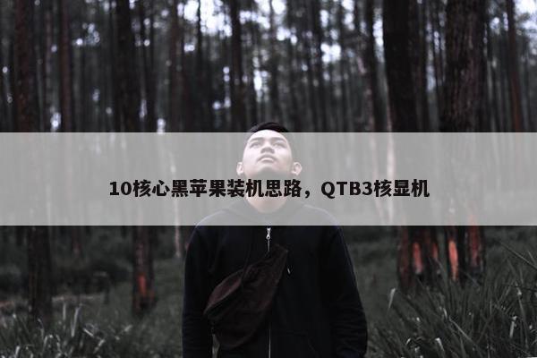 10核心黑苹果装机思路，QTB3核显机