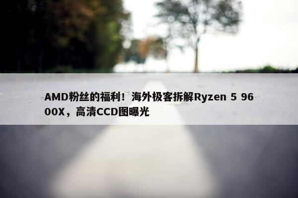 AMD粉丝的福利！海外极客拆解Ryzen 5 9600X，高清CCD图曝光