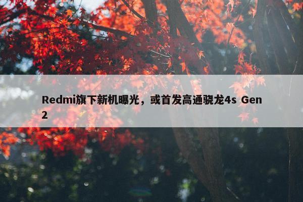 Redmi旗下新机曝光，或首发高通骁龙4s Gen2