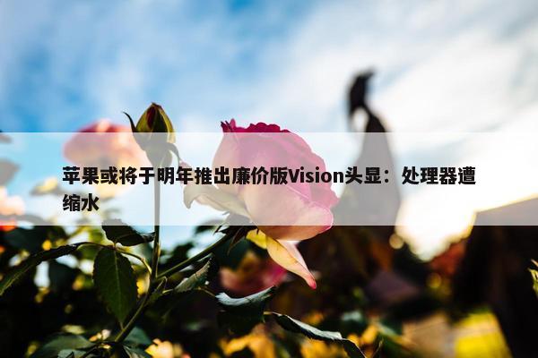 苹果或将于明年推出廉价版Vision头显：处理器遭缩水