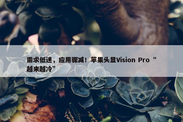 需求低迷，应用骤减！苹果头显Vision Pro“越来越冷”