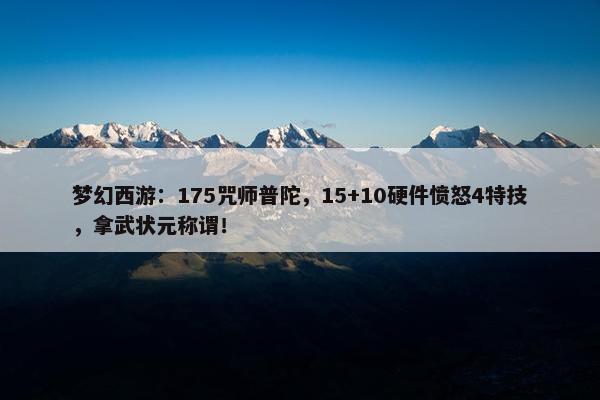 梦幻西游：175咒师普陀，15+10硬件愤怒4特技，拿武状元称谓！