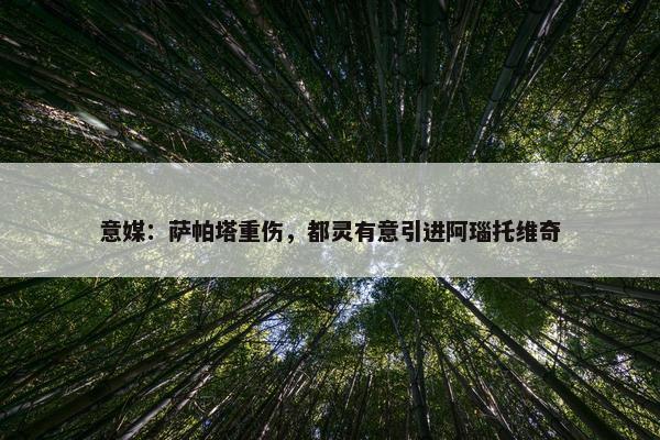 意媒：萨帕塔重伤，都灵有意引进阿瑙托维奇