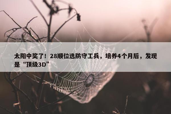 太阳中奖了！28顺位选防守工兵，培养4个月后，发现是“顶级3D”