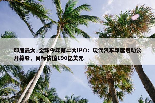 印度最大_全球今年第二大IPO：现代汽车印度启动公开募股，目标估值190亿美元