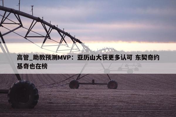 高管_助教预测MVP：亚历山大获更多认可 东契奇约基奇也在榜