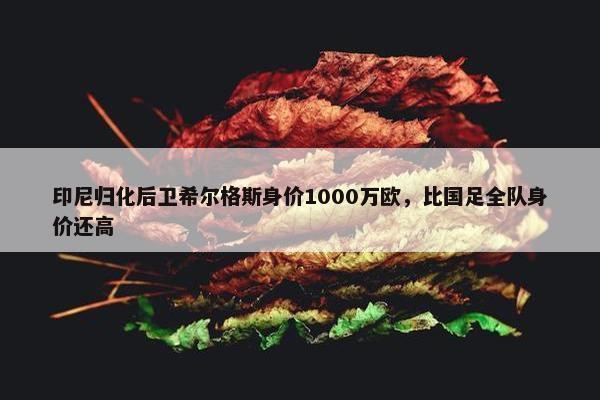 印尼归化后卫希尔格斯身价1000万欧，比国足全队身价还高