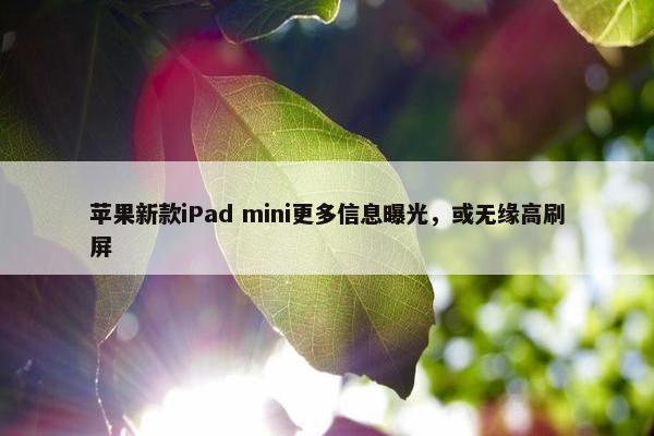 苹果新款iPad mini更多信息曝光，或无缘高刷屏