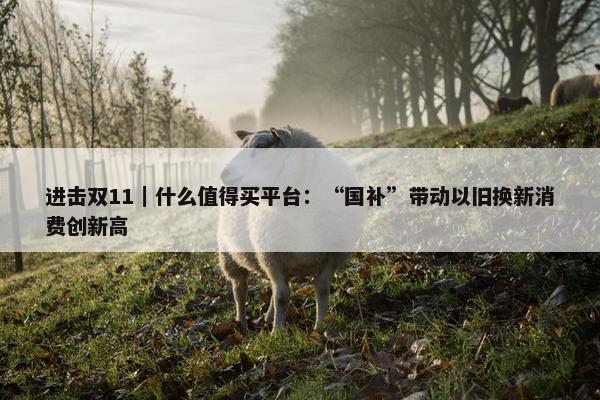 进击双11｜什么值得买平台：“国补”带动以旧换新消费创新高