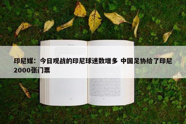 印尼媒：今日观战的印尼球迷数增多 中国足协给了印尼2000张门票