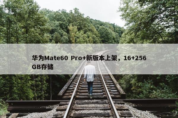 华为Mate60 Pro+新版本上架，16+256GB存储