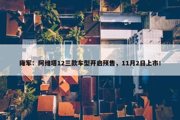 雍军：阿维塔12三款车型开启预售，11月2日上市！