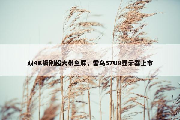 双4K级别超大带鱼屏，雷鸟57U9显示器上市