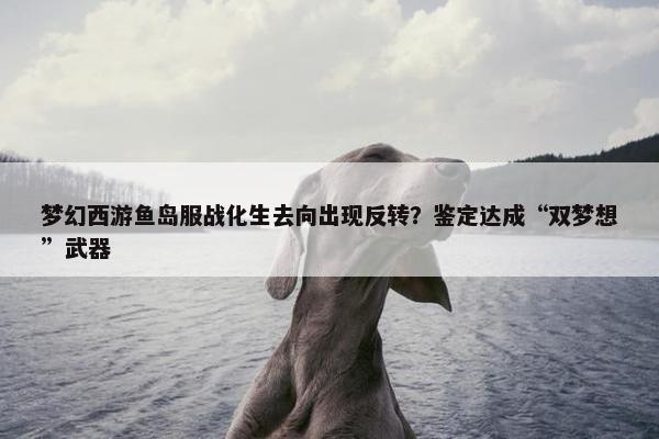 梦幻西游鱼岛服战化生去向出现反转？鉴定达成“双梦想”武器