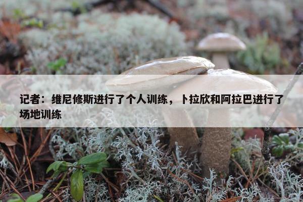 记者：维尼修斯进行了个人训练，卜拉欣和阿拉巴进行了场地训练