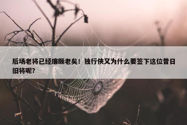 后场老将已经廉颇老矣！独行侠又为什么要签下这位昔日旧将呢？