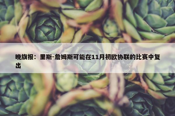 晚旗报：里斯-詹姆斯可能在11月初欧协联的比赛中复出