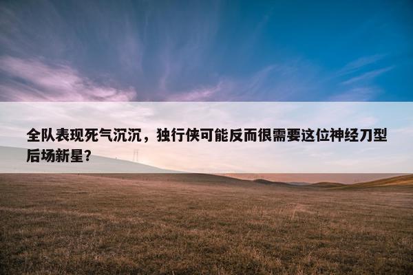 全队表现死气沉沉，独行侠可能反而很需要这位神经刀型后场新星？