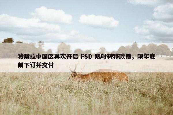 特斯拉中国区再次开启 FSD 限时转移政策，限年底前下订并交付