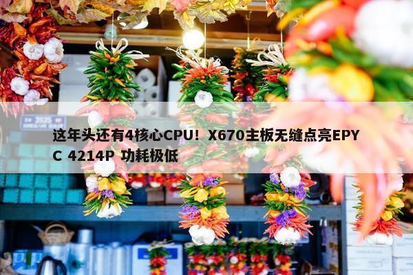 这年头还有4核心CPU！X670主板无缝点亮EPYC 4214P 功耗极低