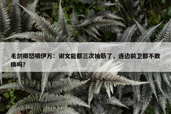 毛剑卿怒喷伊万：谢文能都三次抽筋了，连边前卫都不敢换吗？