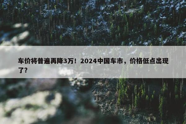 车价将普遍再降3万！2024中国车市，价格低点出现了？