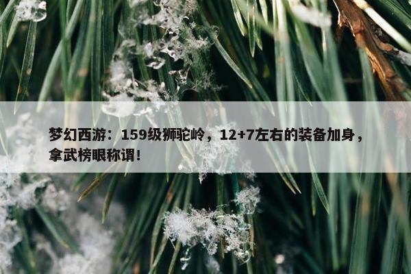 梦幻西游：159级狮驼岭，12+7左右的装备加身，拿武榜眼称谓！