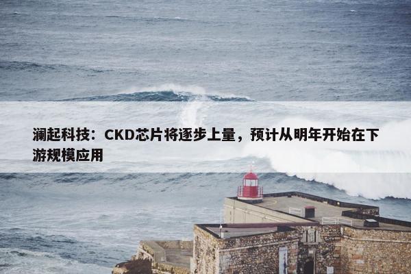 澜起科技：CKD芯片将逐步上量，预计从明年开始在下游规模应用