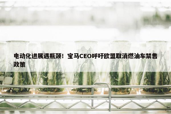 电动化进展遇瓶颈！宝马CEO呼吁欧盟取消燃油车禁售政策