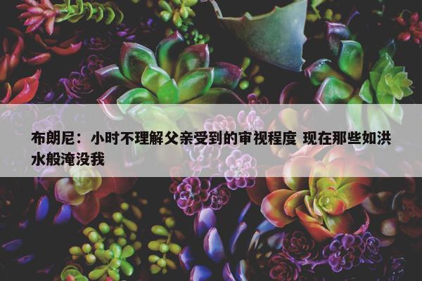 布朗尼：小时不理解父亲受到的审视程度 现在那些如洪水般淹没我