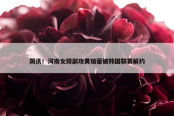 简讯！河南女排副攻黄瑞蕾被韩国联赛解约