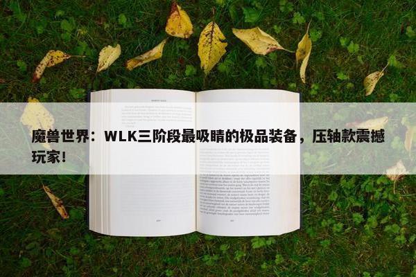 魔兽世界：WLK三阶段最吸睛的极品装备，压轴款震撼玩家！